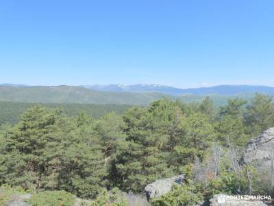 Joya Verde de Canencia — Un paseo por el Sestil del Maillo; tren a navacerrada actividades culturale